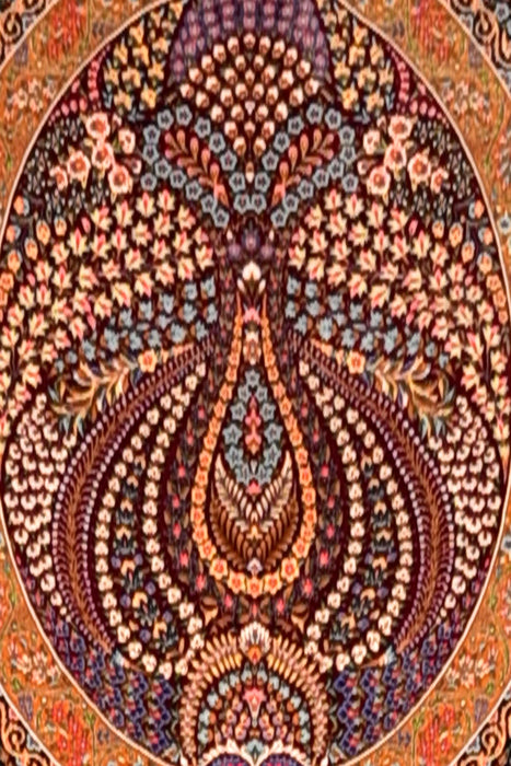 Large Silk Rugs 9.7x13 #47****